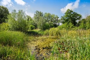 Gardens and Grounds- click for photo gallery